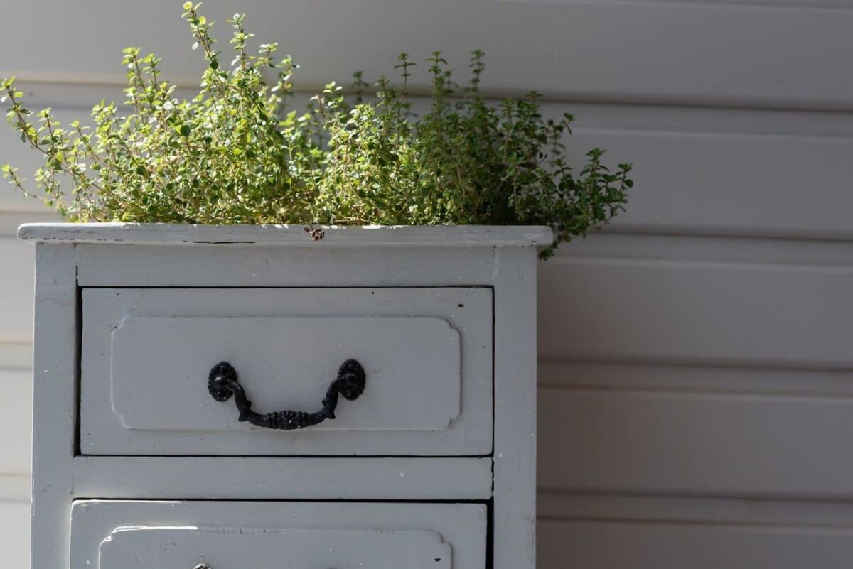 Cosy Accommodation Moments From The Centre Of Town With Wifi Launceston Exteriör bild